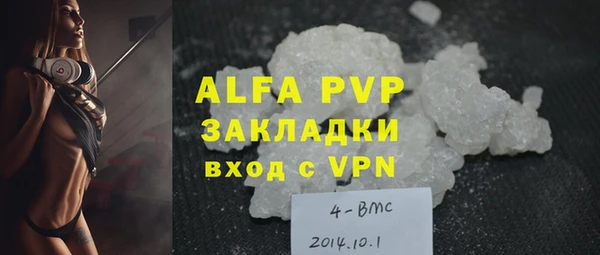 гидра Белокуриха
