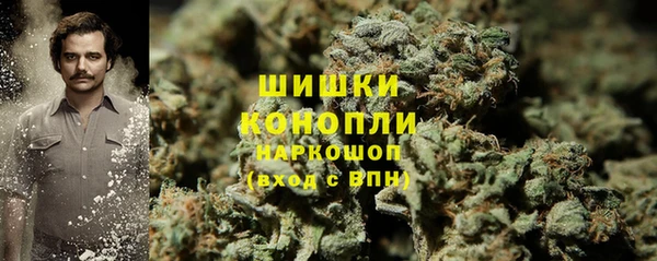 гидра Белокуриха