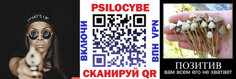 Псилоцибиновые грибы GOLDEN TEACHER  Купить закладки  Дмитриев 